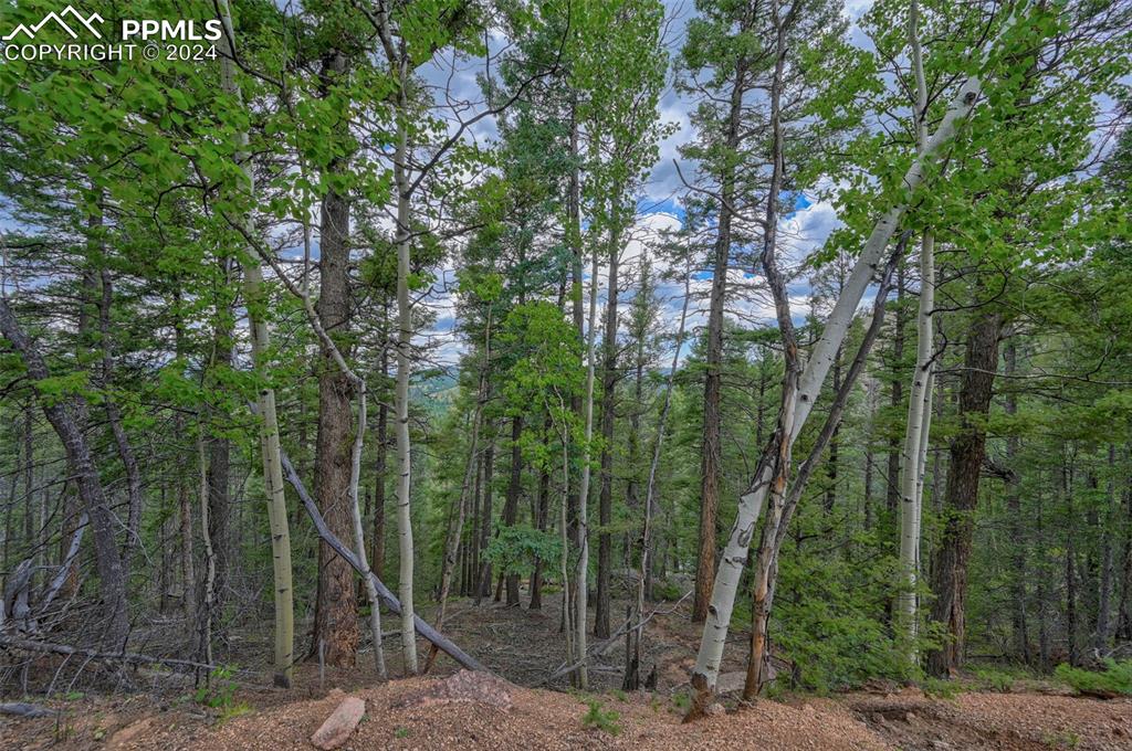 Image 18 of 25: Other