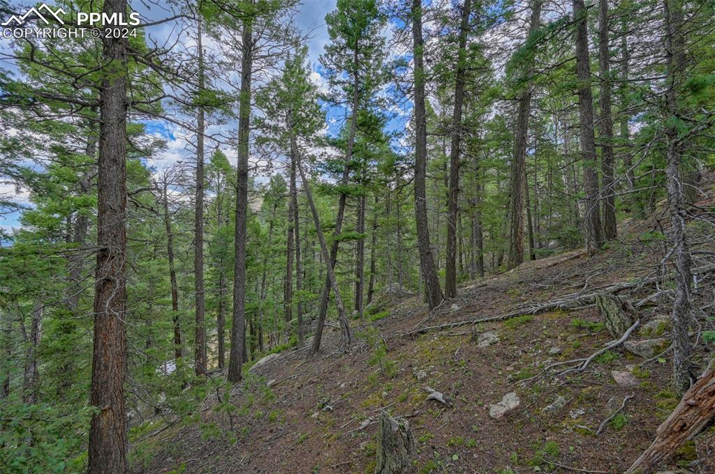 Image 20 of 25: Other