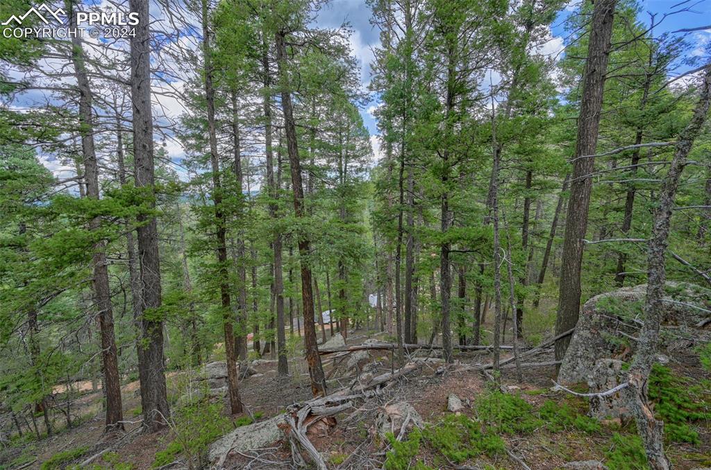 Image 22 of 25: Other