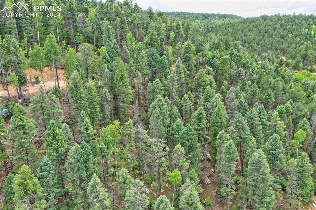 Image 3 of 25: Aerial View