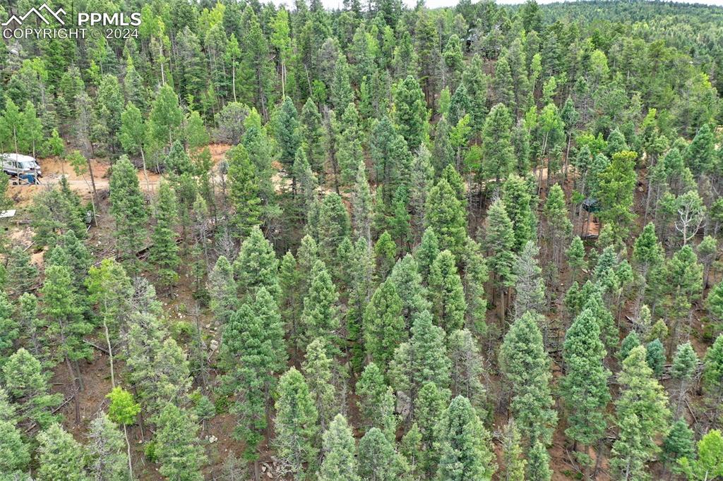 Image 5 of 25: Aerial View