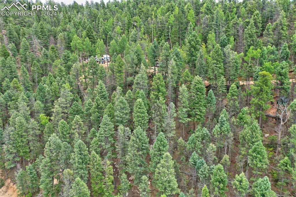 Image 7 of 25: Aerial View