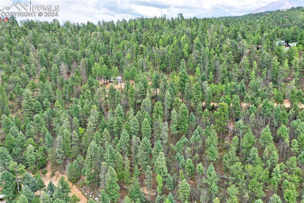 Image 9 of 25: Aerial View