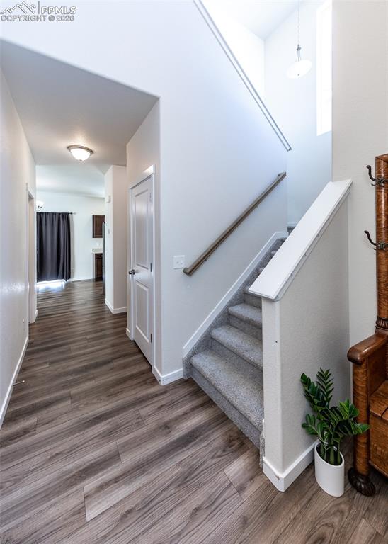 Image 2 of 45: Other