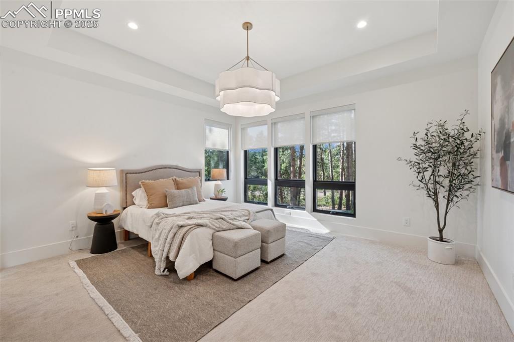 Image 41 of 50: Bedroom featuring a raised ceiling, carpet flooring, and recessed lighting