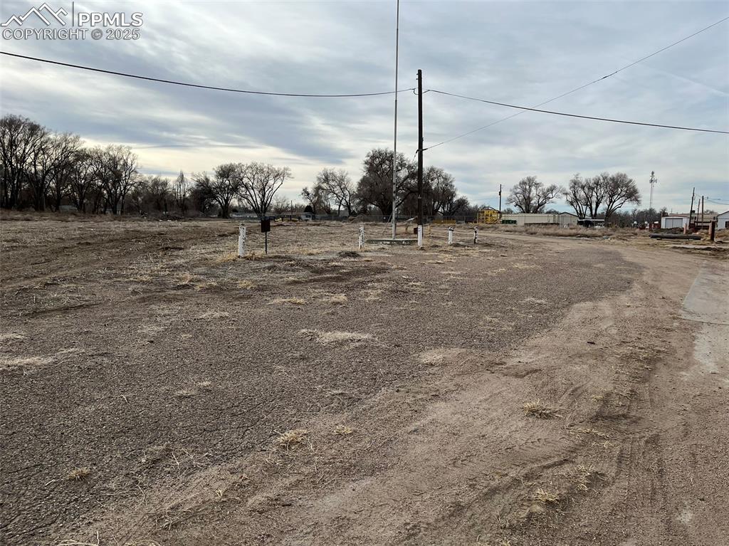 Image 6 of 23: View of yard