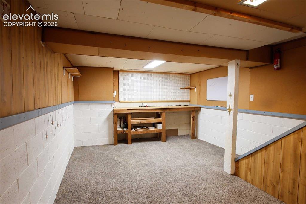 Image 18 of 19: Carpeted floor, wood paneling, painted, non-conforming concrete block walls