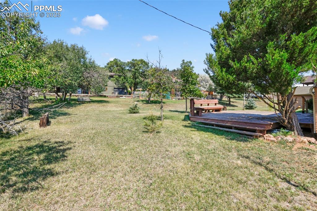 Image 48 of 50: Yard