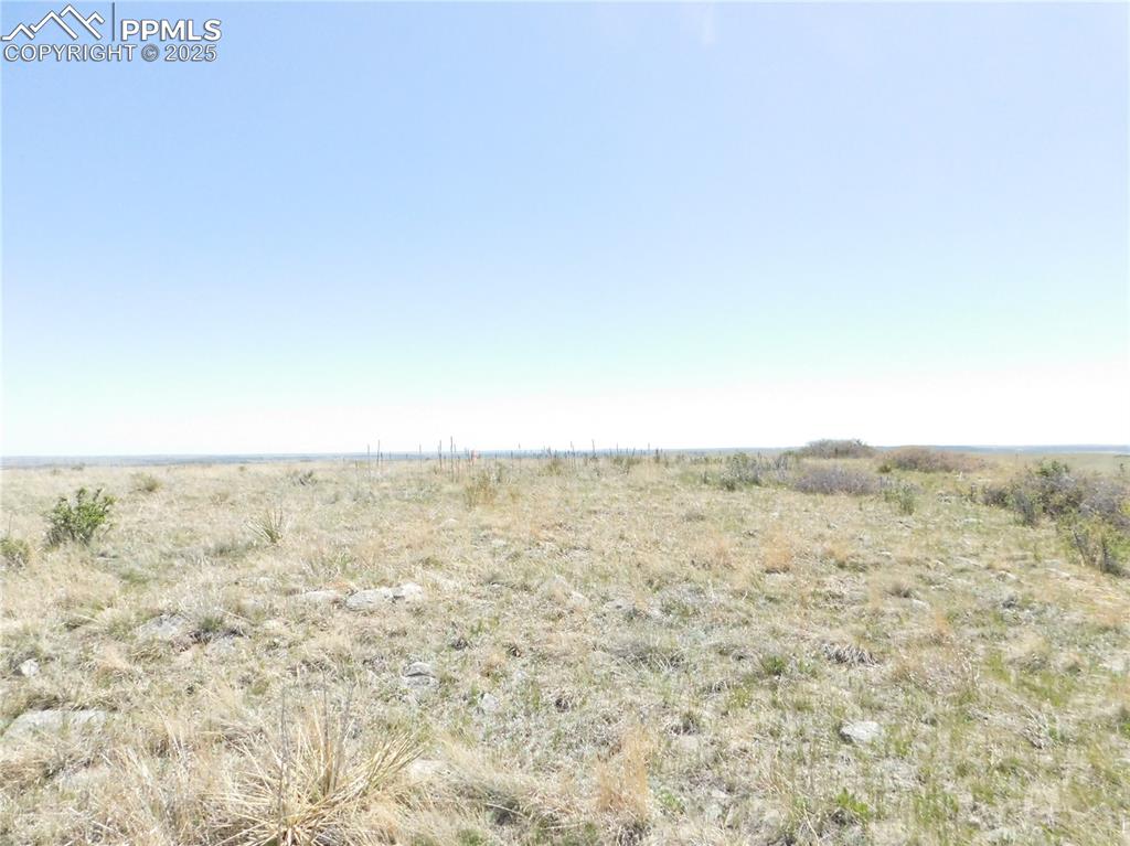 Image 10 of 50: Other