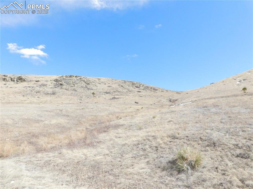 Image 20 of 50: View