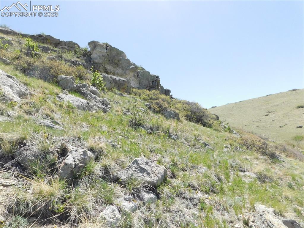 Image 32 of 50: Other