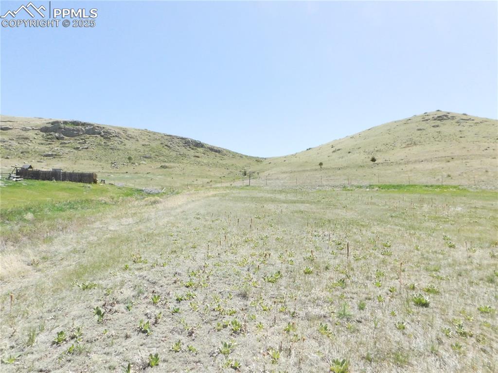 Image 39 of 50: Yard