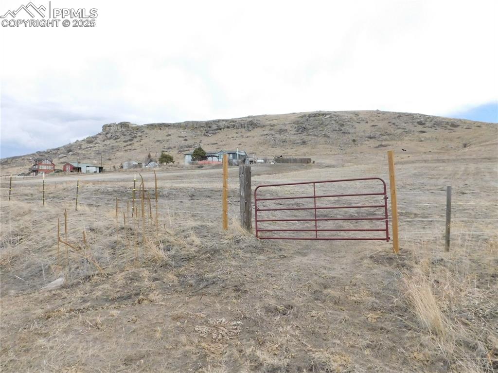 Image 40 of 50: Yard