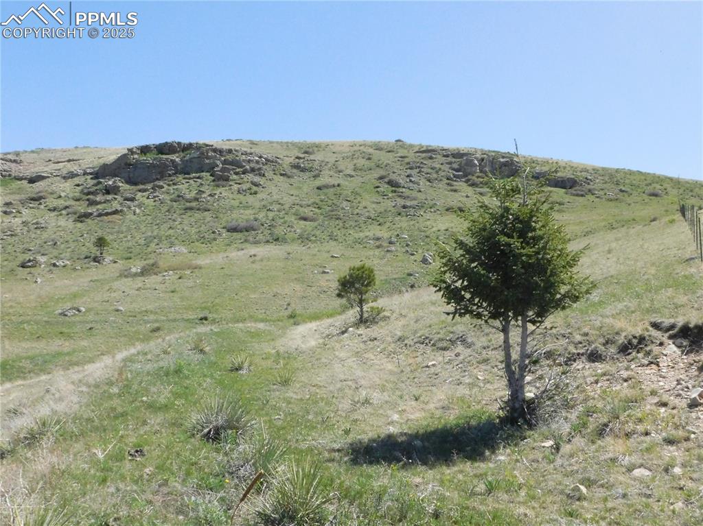 Image 45 of 50: View