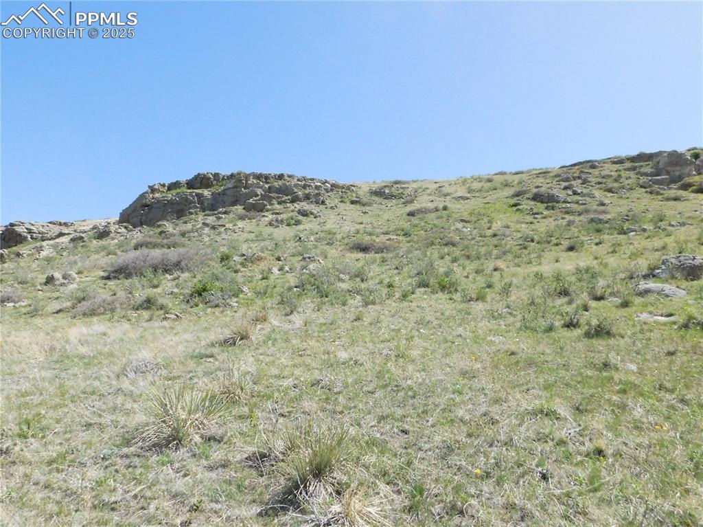 Image 49 of 50: View