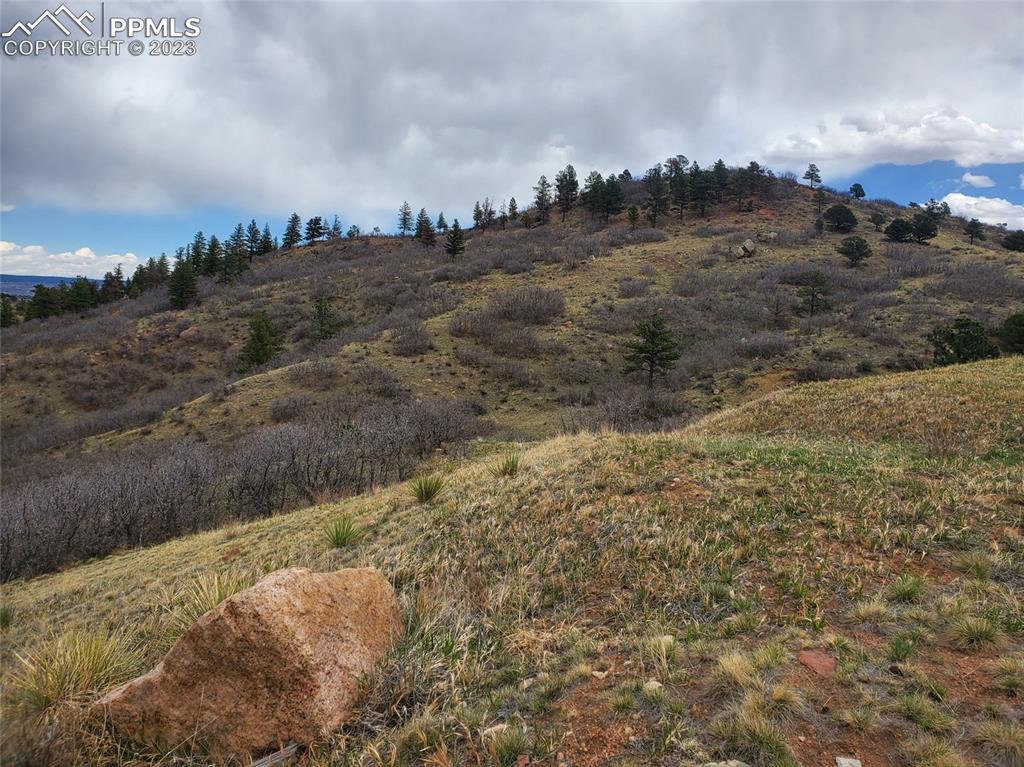 Image 5 of 6: No Description Available