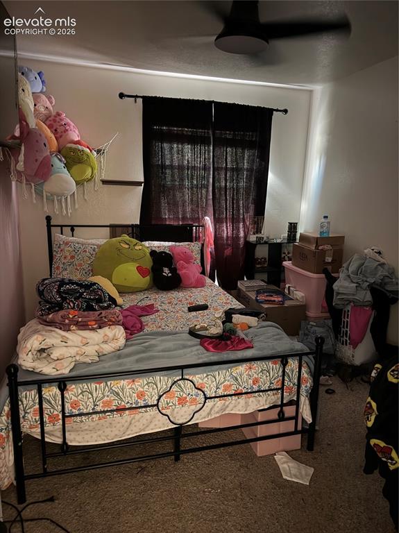 Image 12 of 21: Additional content