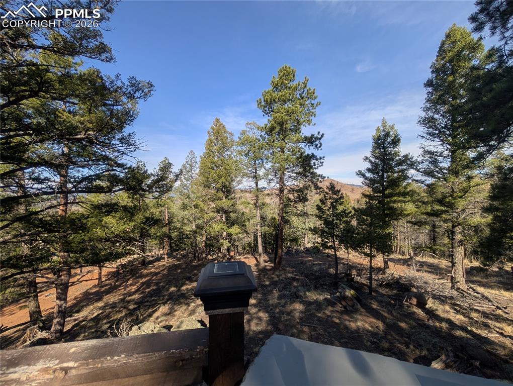 Image 11 of 34: Yard