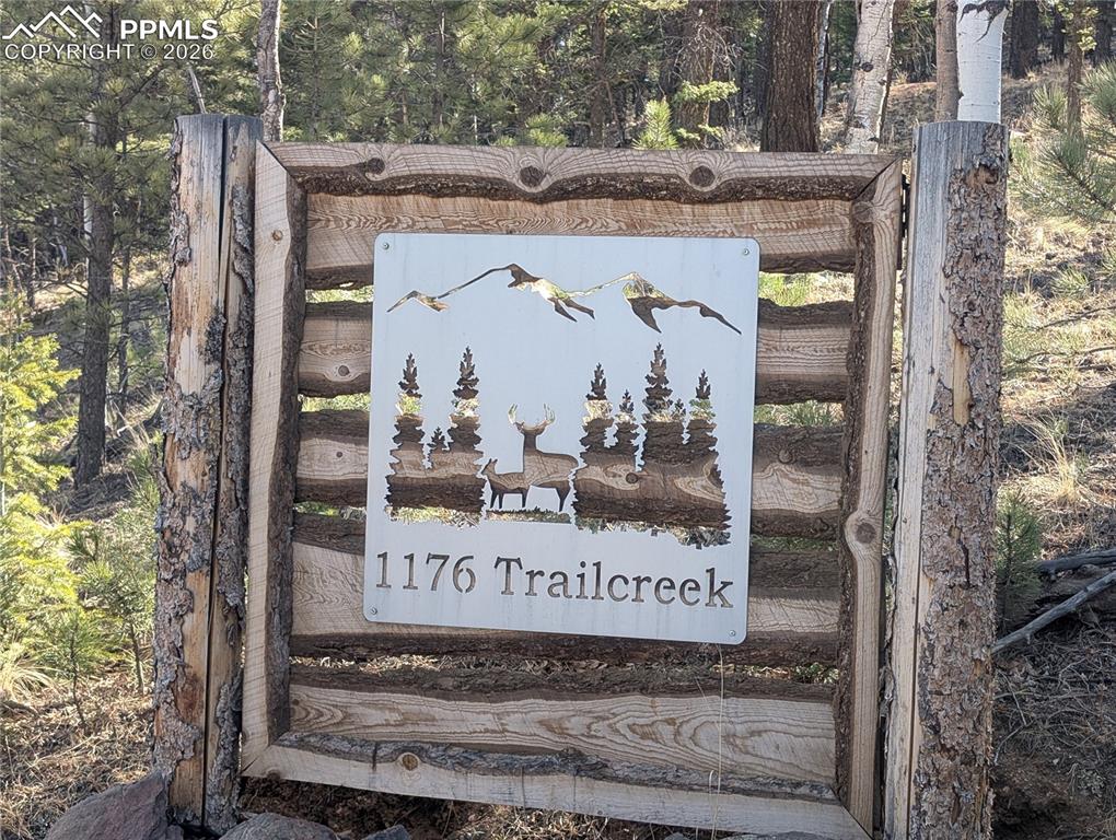 Image 2 of 34: Community