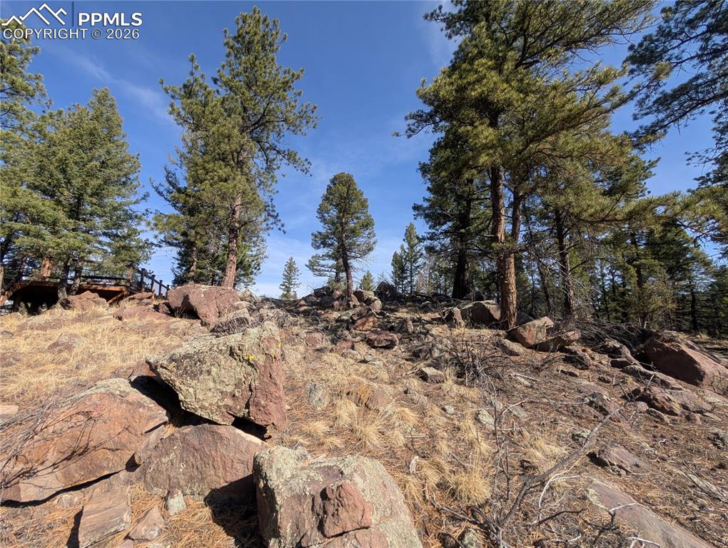 Image 20 of 34: Other