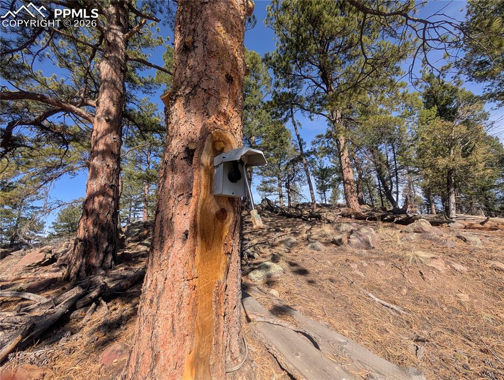 Image 21 of 34: Other