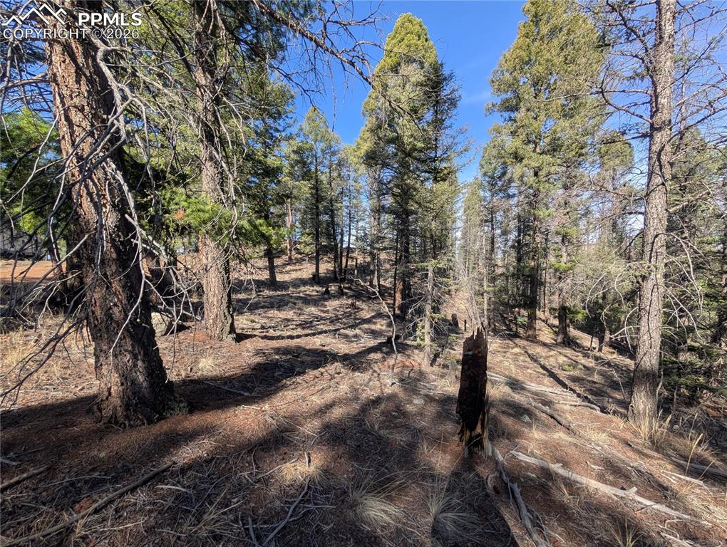 Image 22 of 34: Other