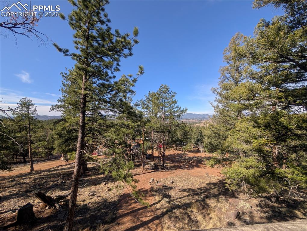 Image 27 of 34: Other