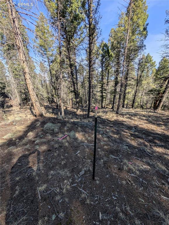 Image 29 of 34: Yard