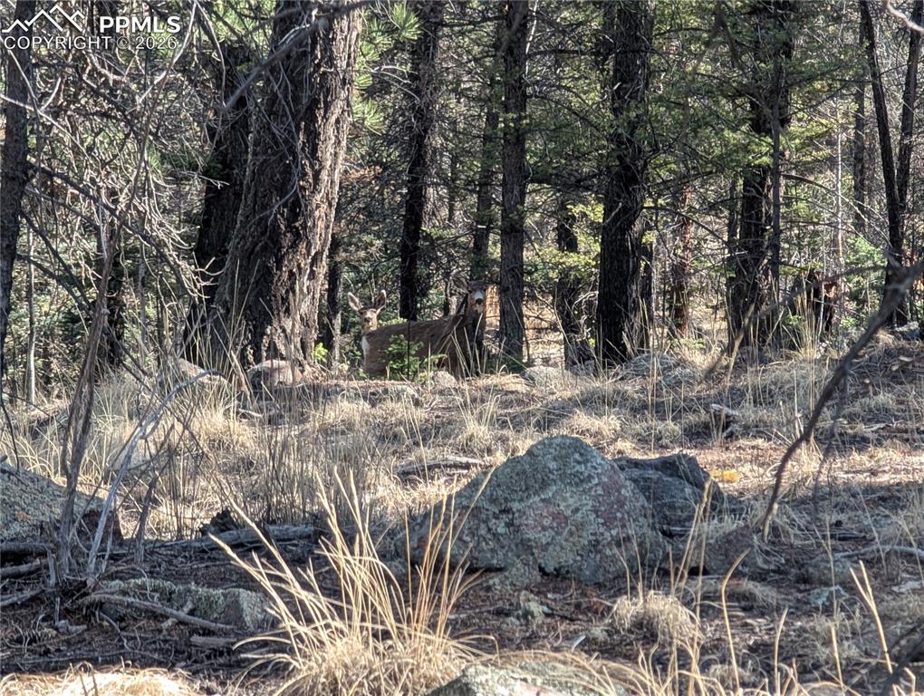 Image 30 of 34: Other