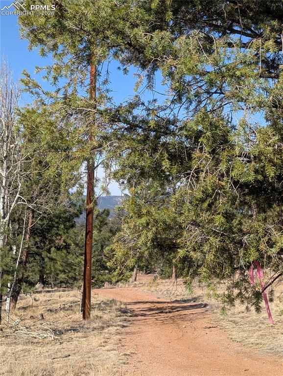 Image 31 of 34: Other