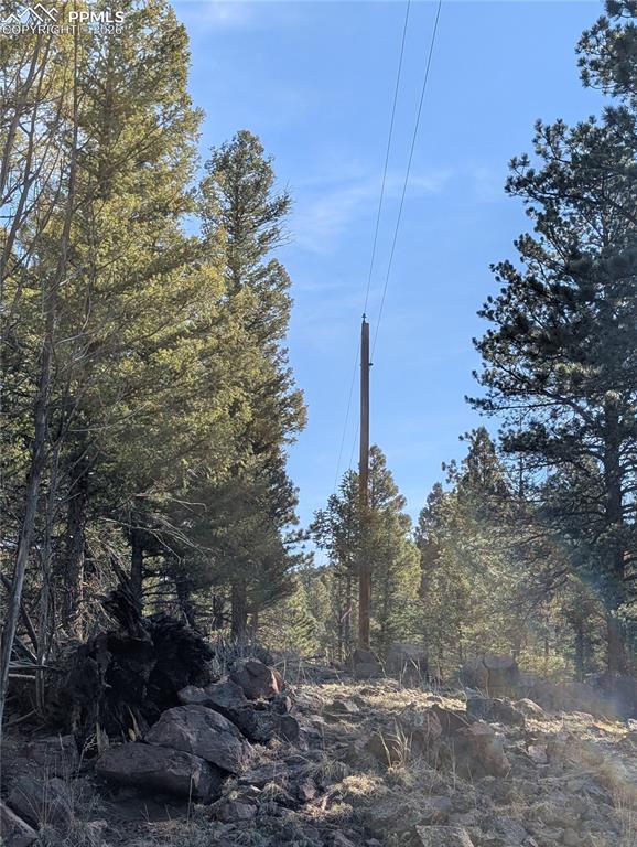 Image 32 of 34: Other