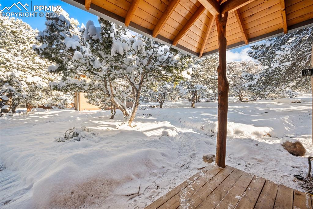 Image 12 of 46: Yard