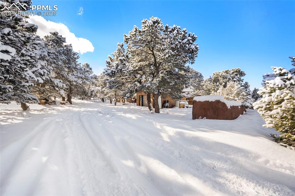 Image 46 of 46: Yard