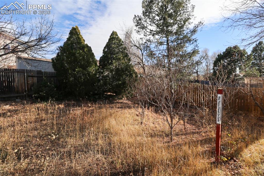 Image 24 of 27: Yard