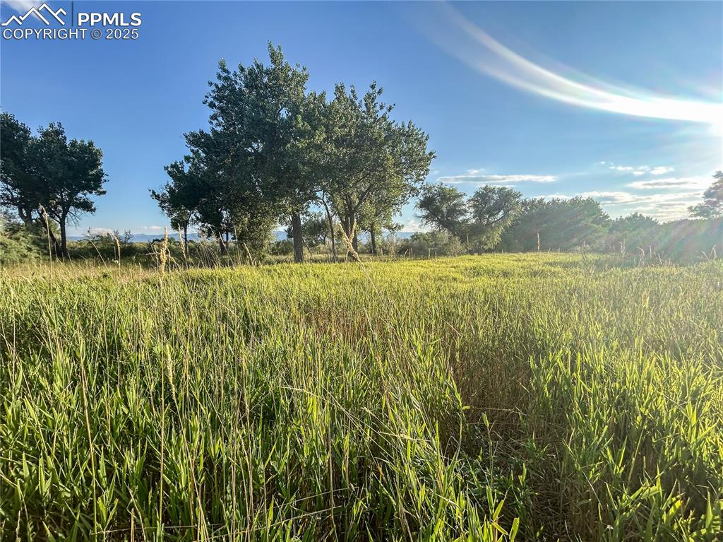 Image 11 of 13: Other