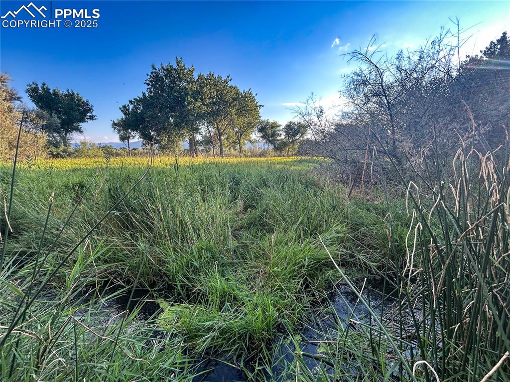 Image 12 of 13: Other