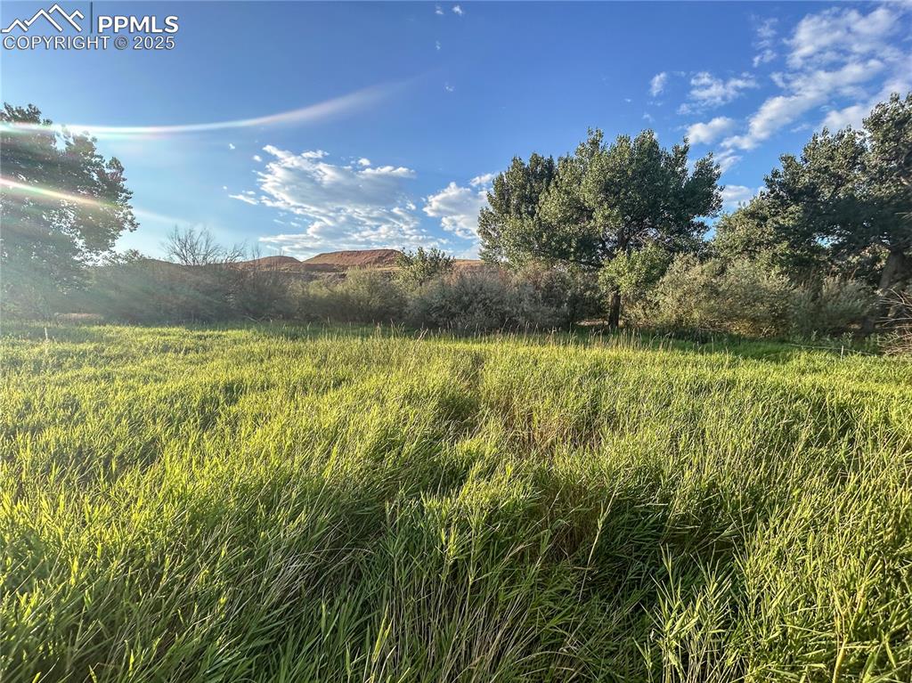 Image 2 of 13: Other