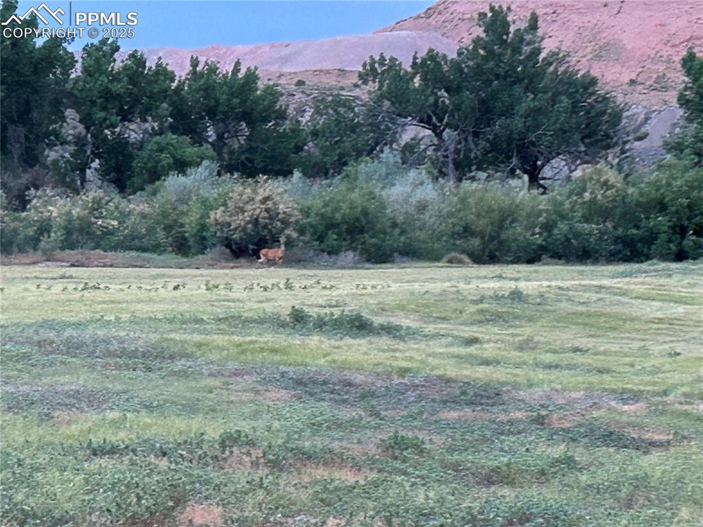 Image 8 of 13: Other