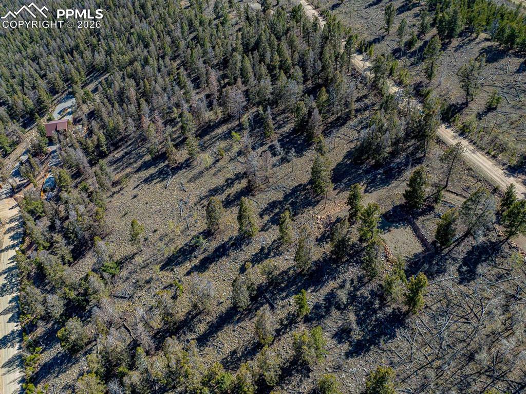 Image 10 of 41: Aerial View