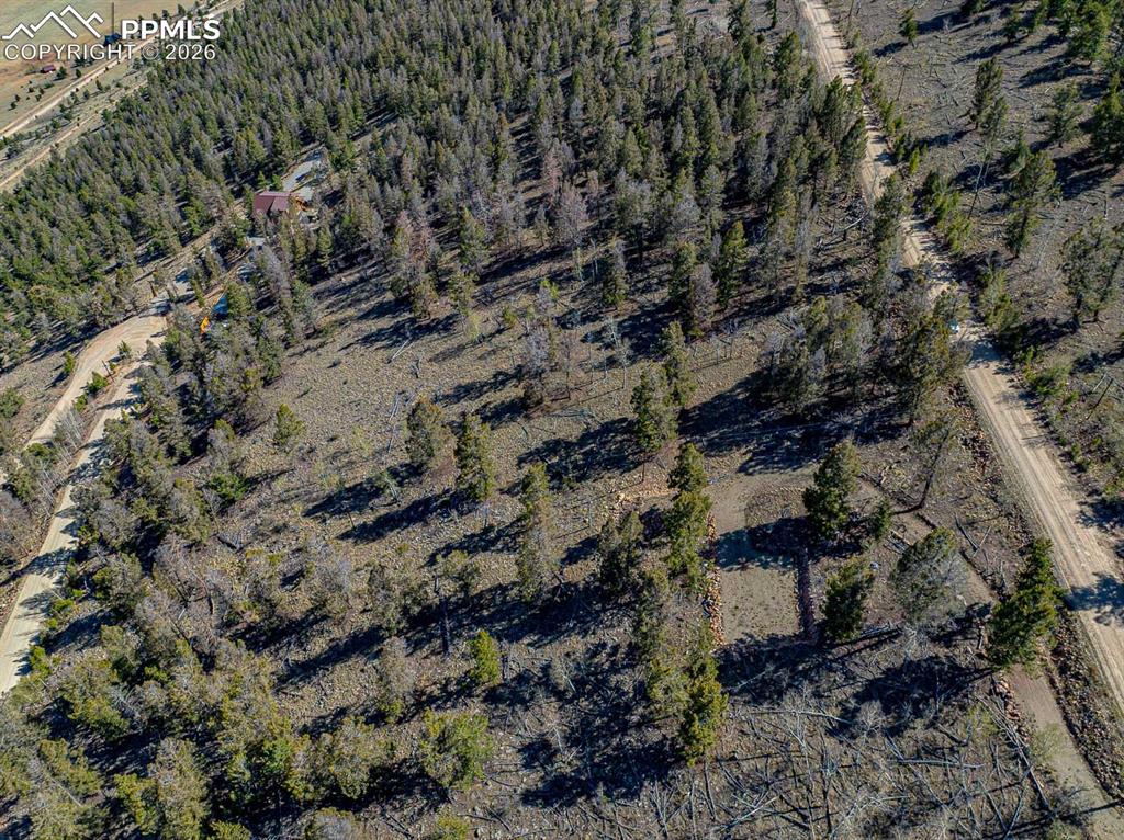 Image 11 of 41: Aerial View