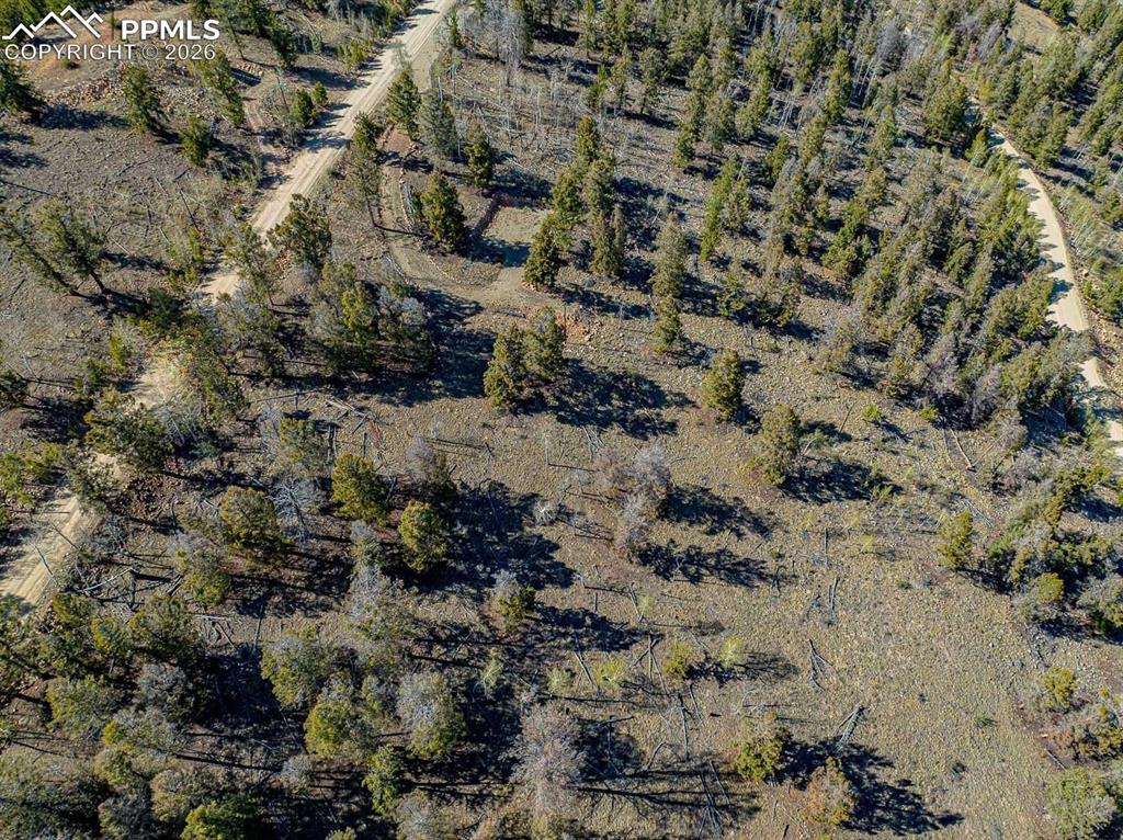 Image 2 of 41: Site Evaluation