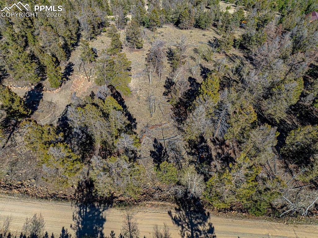 Image 7 of 41: Aerial View
