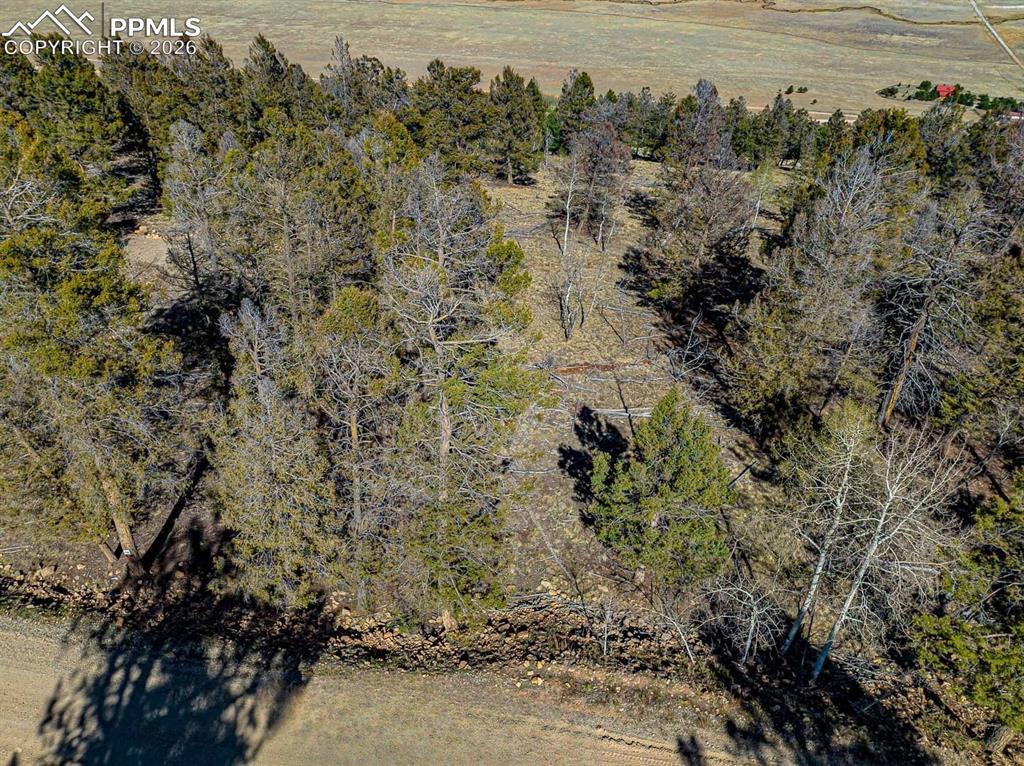 Image 8 of 41: Aerial View