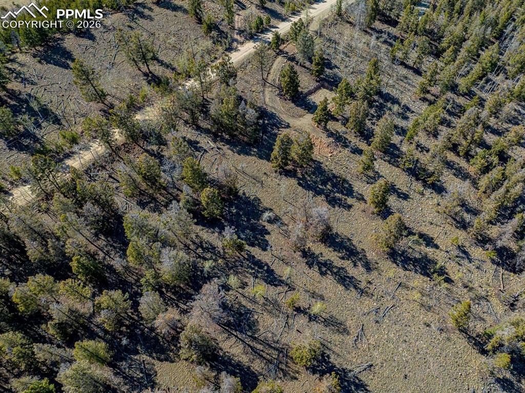 Image 9 of 41: Aerial View