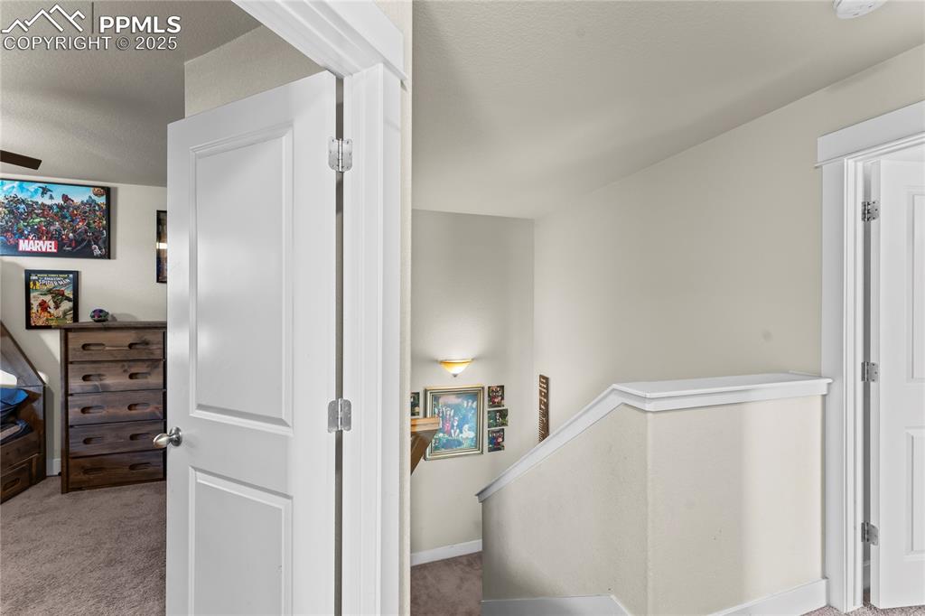 Image 19 of 33: Stairway with carpet flooring and baseboards