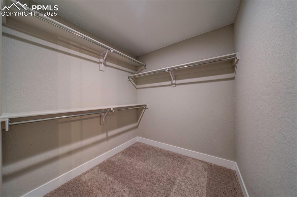 Image 37 of 44: Spacious closet featuring carpet flooring