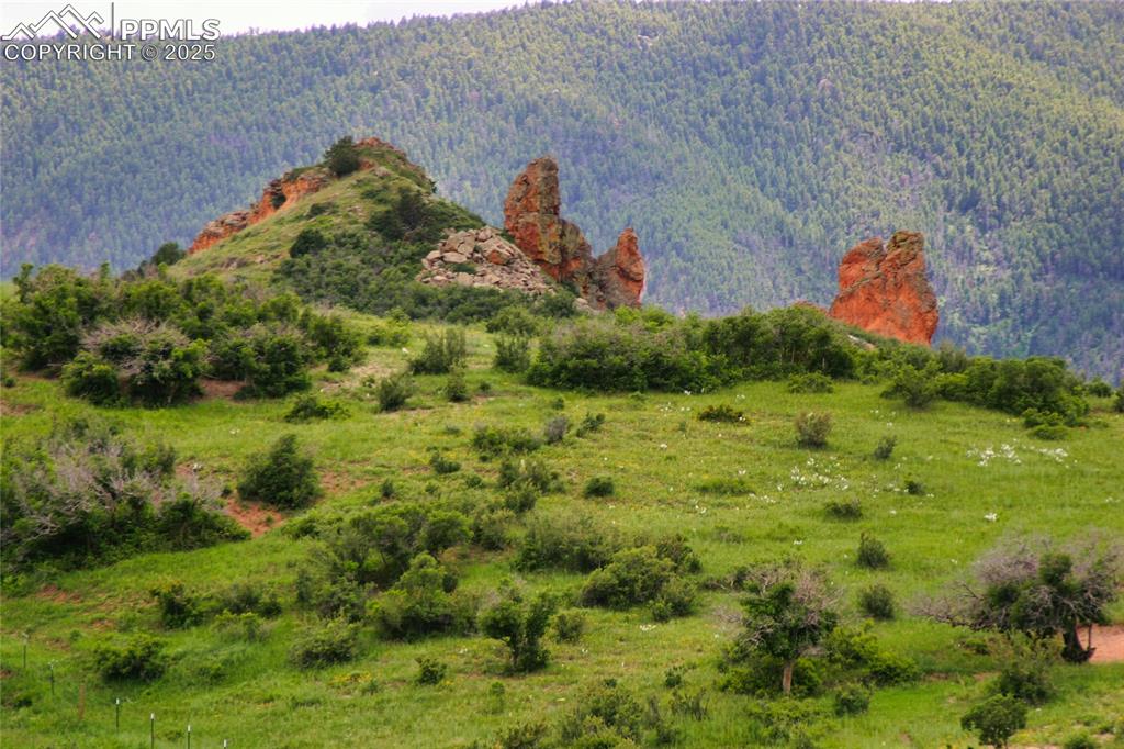 Image 6 of 8: View of mountain background with a forest
