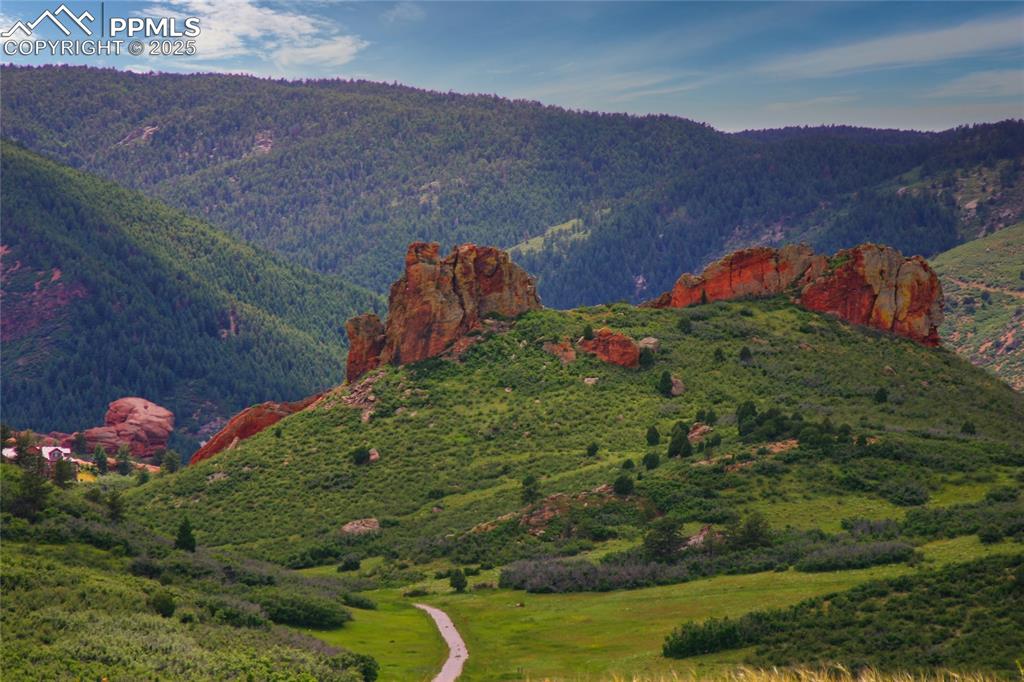 Image 8 of 8: View of mountain background featuring a forest