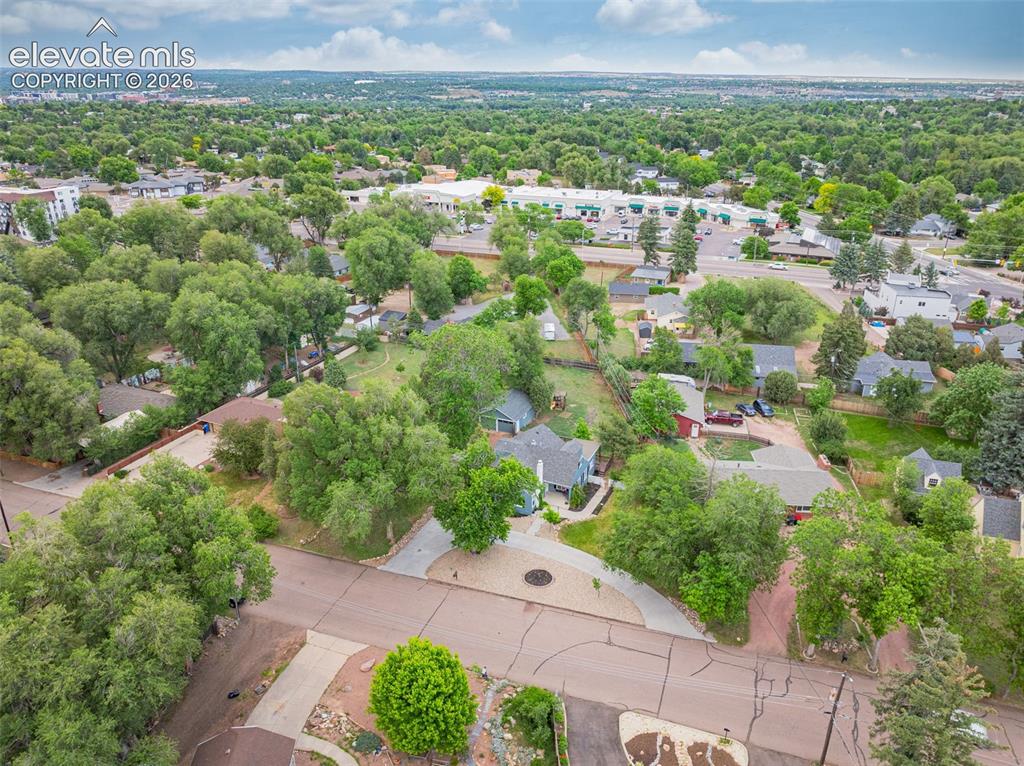 Image 43 of 50: Lush tree canopy surrounding residential properties