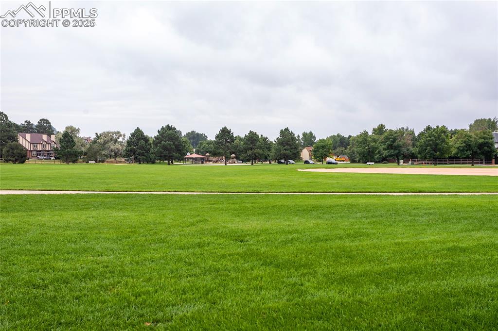 Image 31 of 35: Community